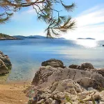 Vrvilo * Рогозница