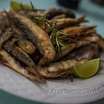 Vrvilo Рогозница