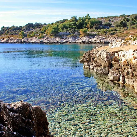 Vrvilo