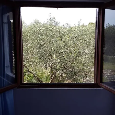 Vrvilo Apartment Rogoznica (Sibenik-Knin)