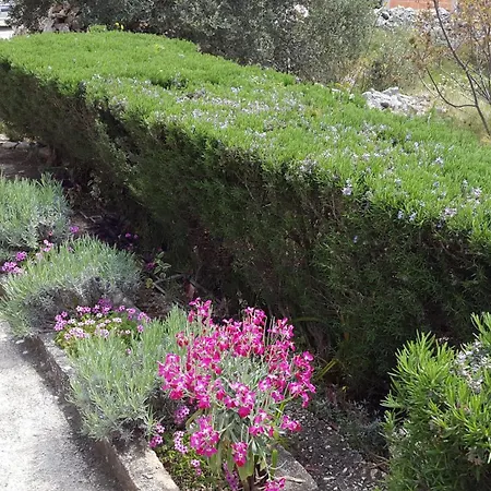 Lägenhet Vrvilo Rogoznica (Sibenik-Knin)