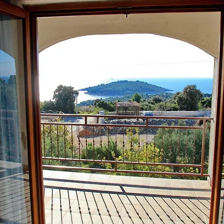 Vrvilo *