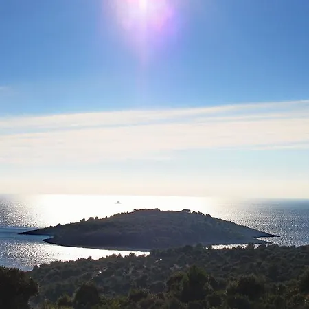 Vrvilo * Rogoznica (Sibenik-Knin)