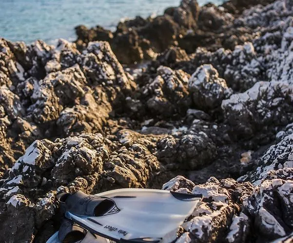 Vrvilo Rogoznica (Sibenik-Knin)